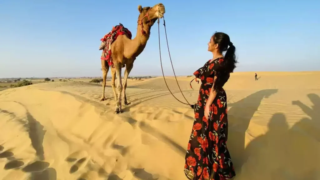 Cute Dromedary Pick Up Lines