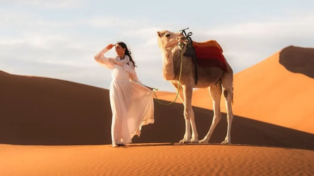 Short Dromedary Pick Up Lines