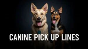 Read more about the article 90+ Best Canine Pick Up Lines to Make Anyone Smile (2026)<p class="post-updated-date">🕓 <span class="updated-label">Last updated on</span> <time datetime="2026-03-07T05:52:04+00:00">March 7, 2026</time></p><script type="application/ld+json">
        {
          "@context": "https://schema.org",
          "@type": "BlogPosting",
          "mainEntityOfPage": {
            "@type": "WebPage",
            "@id": "https://pickupsy.com/canine-pick-up-lines/"
          },
          "datePublished": "2026-03-07T05:52:03+00:00",
          "dateModified": "2026-03-07T05:52:04+00:00"
        }
        </script>