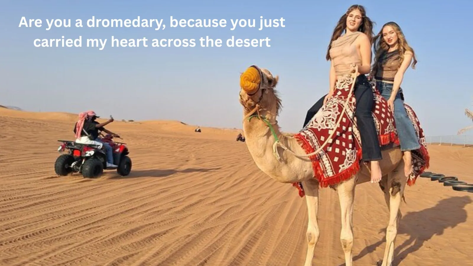 Read more about the article 109+ Dromedary Pick Up Lines for Animal Lovers 2026