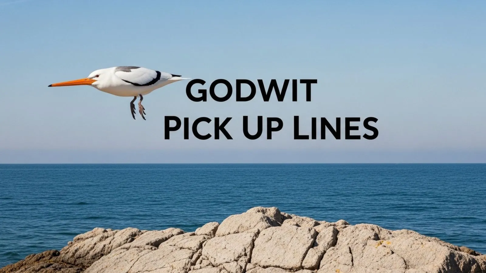 Read more about the article 136+ Best Godwit Pick Up Lines for Texts & Chats for 2026
