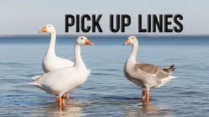 Read more about the article 90+ Goose Pick Up Lines to Make Them Smile 2026<p class="post-updated-date">🕓 <span class="updated-label">Last updated on</span> <time datetime="2026-04-20T15:23:54+00:00">April 20, 2026</time></p><script type="application/ld+json">
        {
          "@context": "https://schema.org",
          "@type": "BlogPosting",
          "mainEntityOfPage": {
            "@type": "WebPage",
            "@id": "https://pickupsy.com/goose-pick-up-lines/"
          },
          "datePublished": "2026-03-05T07:45:16+00:00",
          "dateModified": "2026-04-20T15:23:54+00:00"
        }
        </script>